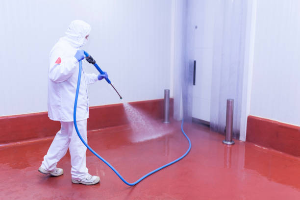 Best Paint Preparation  in Biola, CA